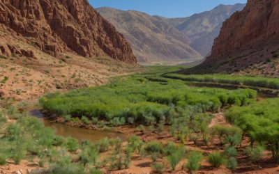 Ecosystems Affected by Dades Gorges Geology